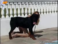 [ Beauty Rich Wife Zoophilia Porn ] Slender blonde rookie fucking her big dog poolside